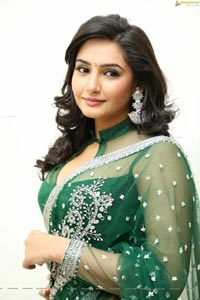 Ragini Dwivedi Hot Saree Photos