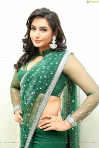 Ragini Dwivedi Hot Saree Photos