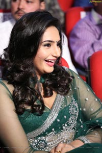 Ragini Dwivedi Hot Saree Photos