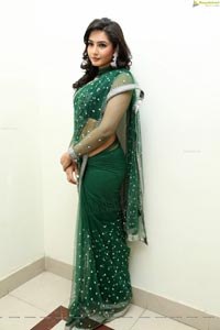 Ragini Dwivedi Hot Saree Photos