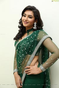 Ragini Dwivedi Hot Saree Photos