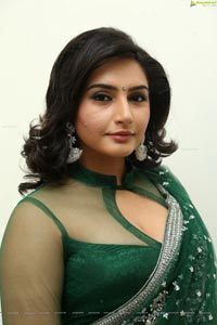 Ragini Dwivedi Hot Saree Photos