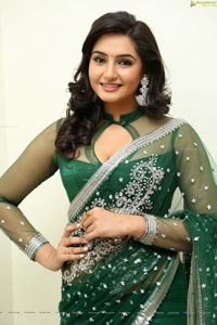 Ragini Dwivedi Hot Saree Photos