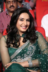 Ragini Dwivedi Hot Saree Photos