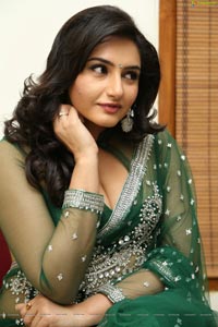 Ragini Dwivedi Hot Saree Photos