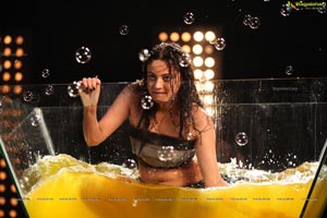 Sneha Ullal Hot HD Wallpapers