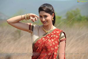 Tanvi Vyas in Half Saree