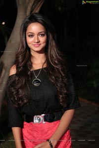 Heroine Shanvi