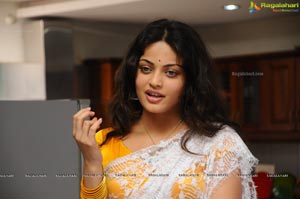 Sneha Ullal in Saree