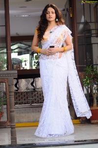 Sneha Ullal in Saree