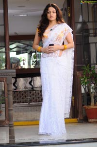 Sneha Ullal in Saree