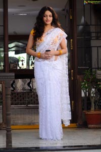 Sneha Ullal in Saree