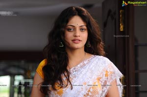 Sneha Ullal in Saree