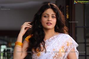 Sneha Ullal in Saree