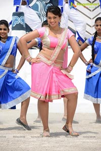 Bhimavaram Bullodu Heroine