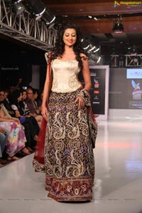 Hamsanandini Nila HIFW 2013