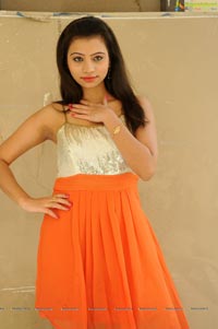 Priyanka Orange Dress