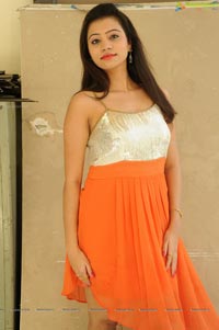 Priyanka Orange Dress