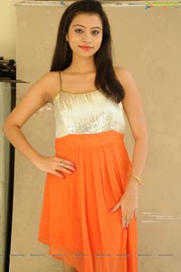 Priyanka Orange Dress