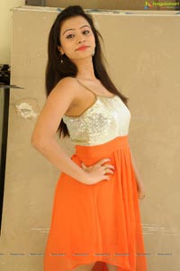 Priyanka Orange Dress