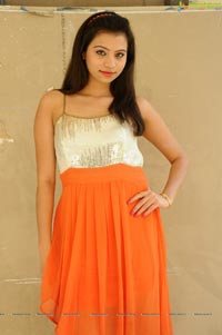 Priyanka Orange Dress