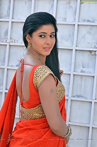 Heroine Pavani in Orange Saree