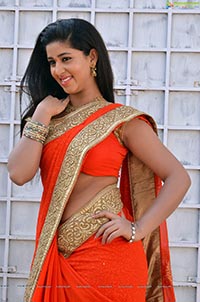 Heroine Pavani in Orange Saree