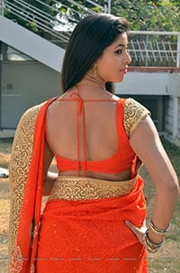 Heroine Pavani in Orange Saree