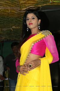 Manisha Pillai in Saree