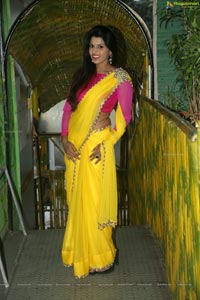 Manisha Pillai in Saree