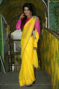 Manisha Pillai in Saree