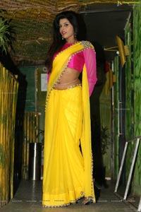 Manisha Pillai in Saree