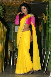 Manisha Pillai in Saree