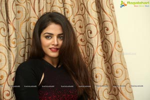 Bollywood Wamiqa Gabbi