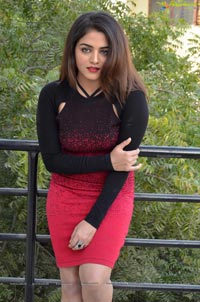 Bollywood Wamiqa Gabbi