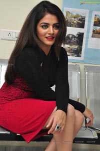 Bollywood Wamiqa Gabbi