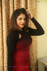 Bollywood Wamiqa Gabbi