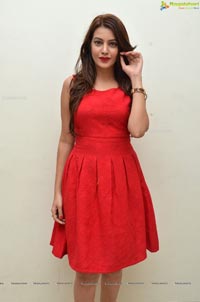 Diksha Panth Photos