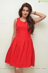 Diksha Panth Photos