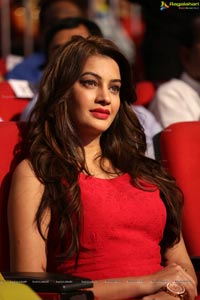 Diksha Panth Photos