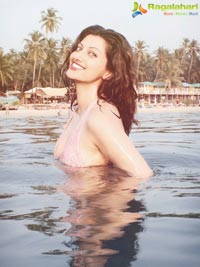 Hamsa Nandini