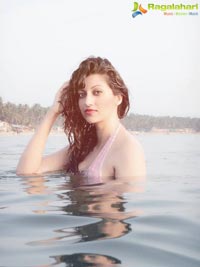 Hamsa Nandini