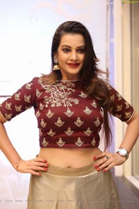 Diksha Panth Ragalahari Hot