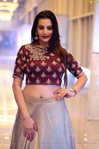 Diksha Panth Ragalahari Hot