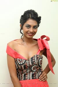 Madhushree at Asif Merchant launch