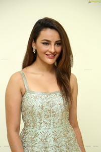 Seerat Kapoor Ragalahari