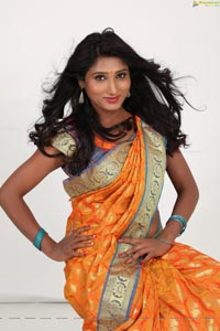 Vidyashree Heroine