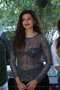 Hamsa Nandini