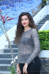 Hamsa Nandini