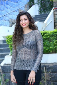 Hamsa Nandini